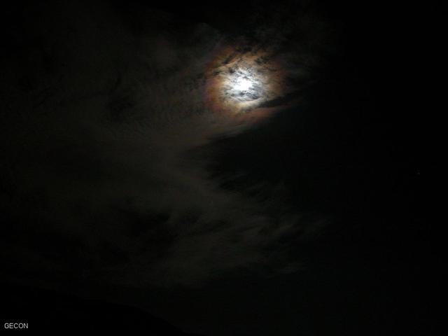 DSCN7254.jpg